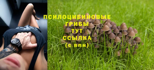 гидропоника Михайлов