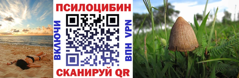 Галлюциногенные грибы Psilocybine cubensis Руза
